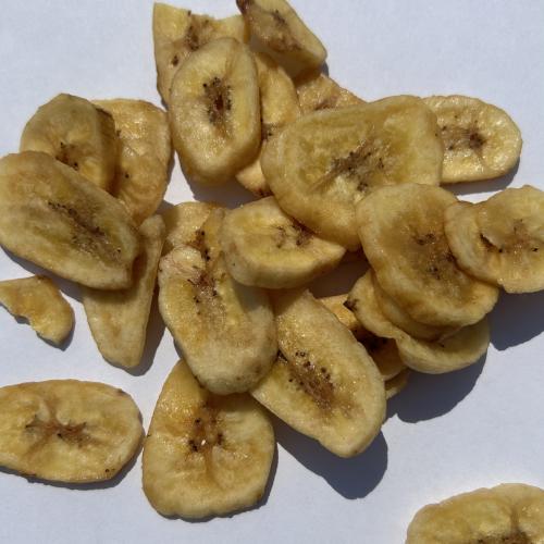 Bear Bait Image