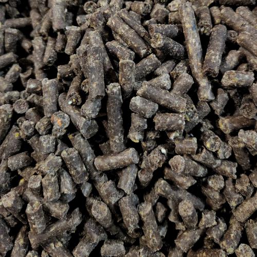 Bear Bait Image